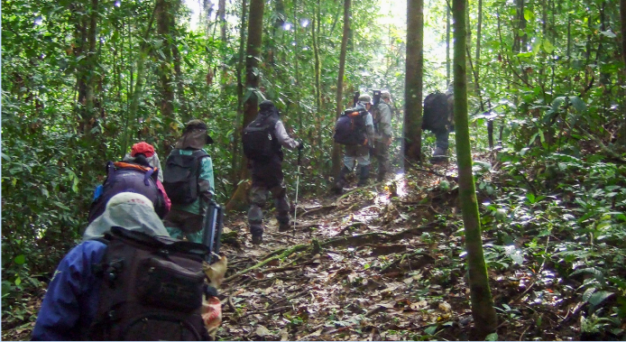 Field Work